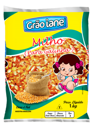 milho-paragalinha-iane-min